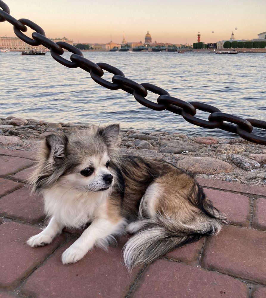 Петербурженка