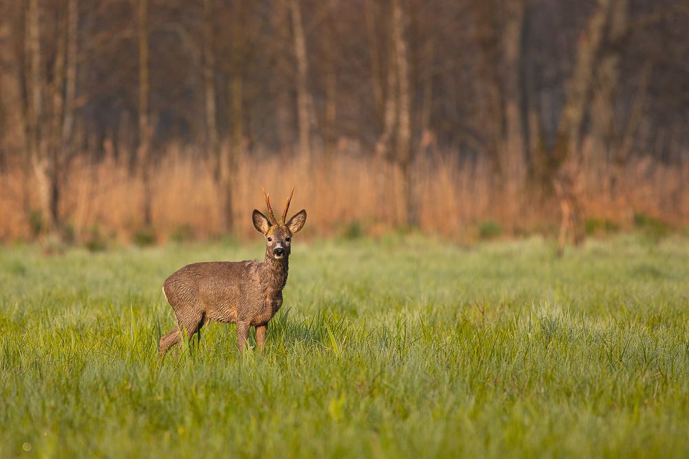 Photograph by Marcin Zakrzewski