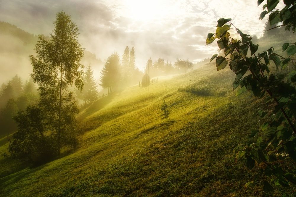 Carpathian magical morning