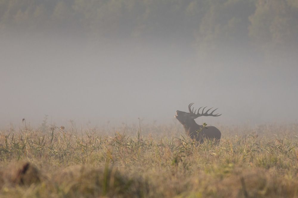 Photograph by Marcin Zakrzewski