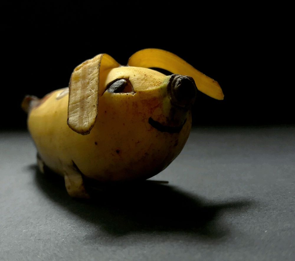 Banana Pet