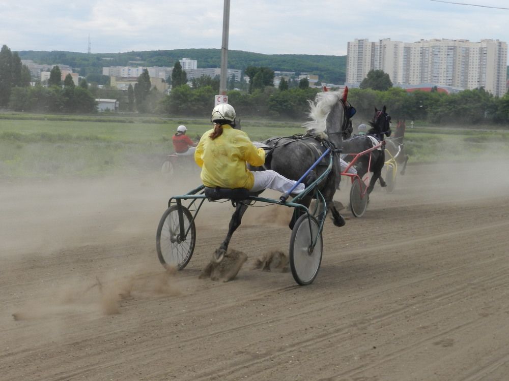 Photo #6375793