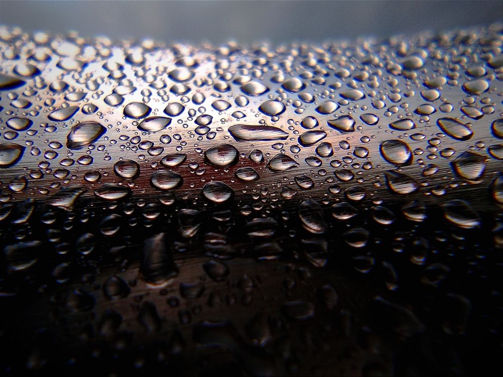 Photograph by Zin Minoo