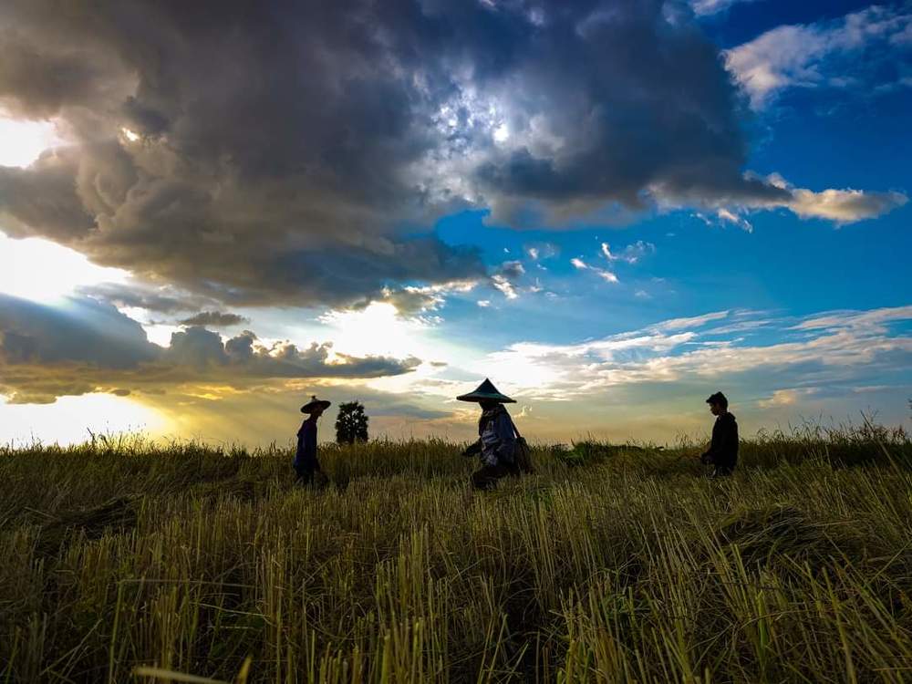 Photograph by Zin Minoo