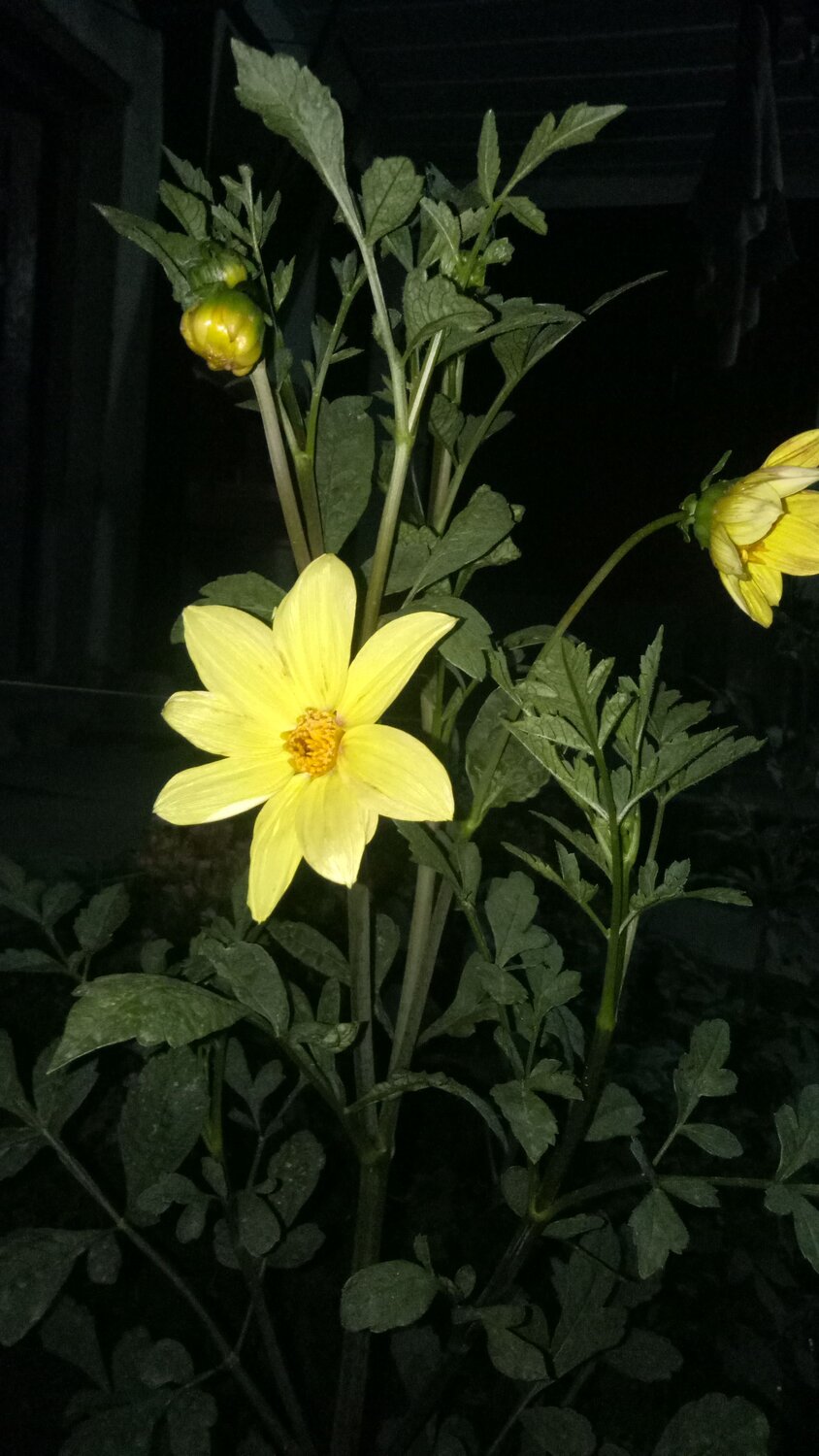Photo #6375852