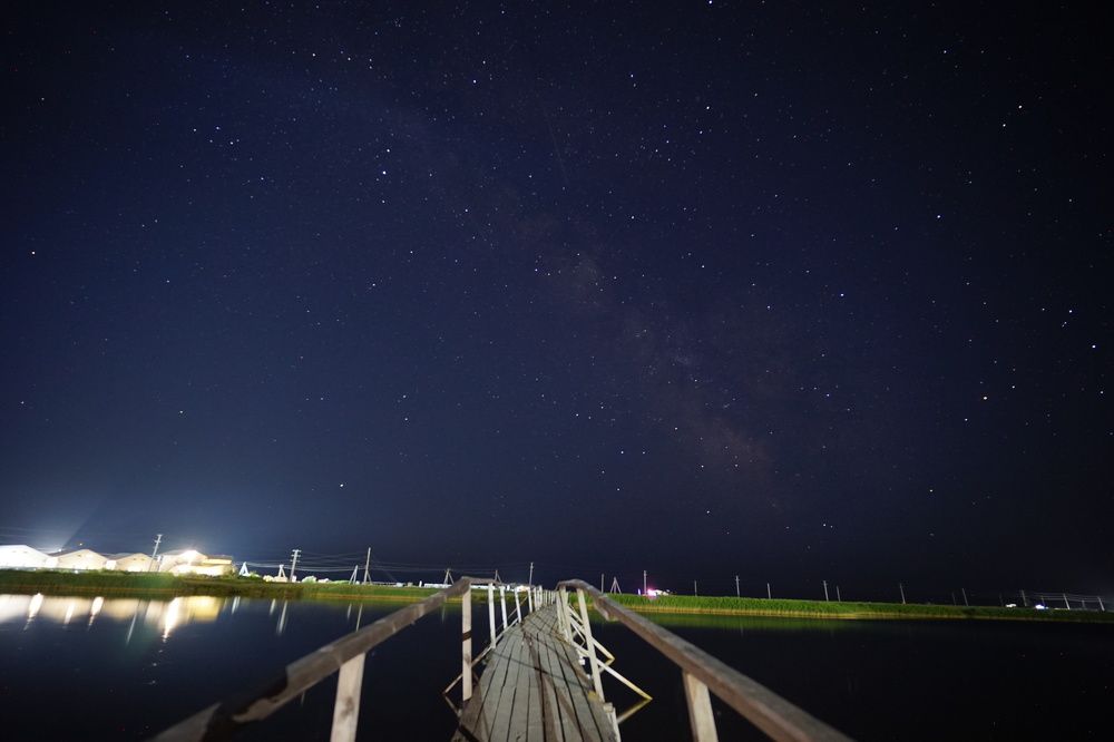 Фотография автора Светлана Груньковская