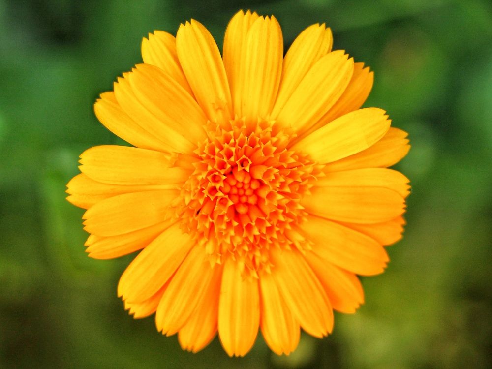 Фотография автора Иван Вдовин