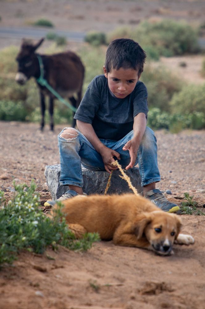 Photograph by Adrian Grigore