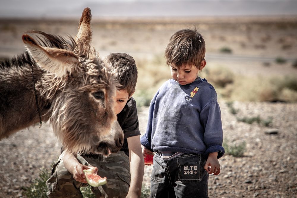 Photograph by Adrian Grigore