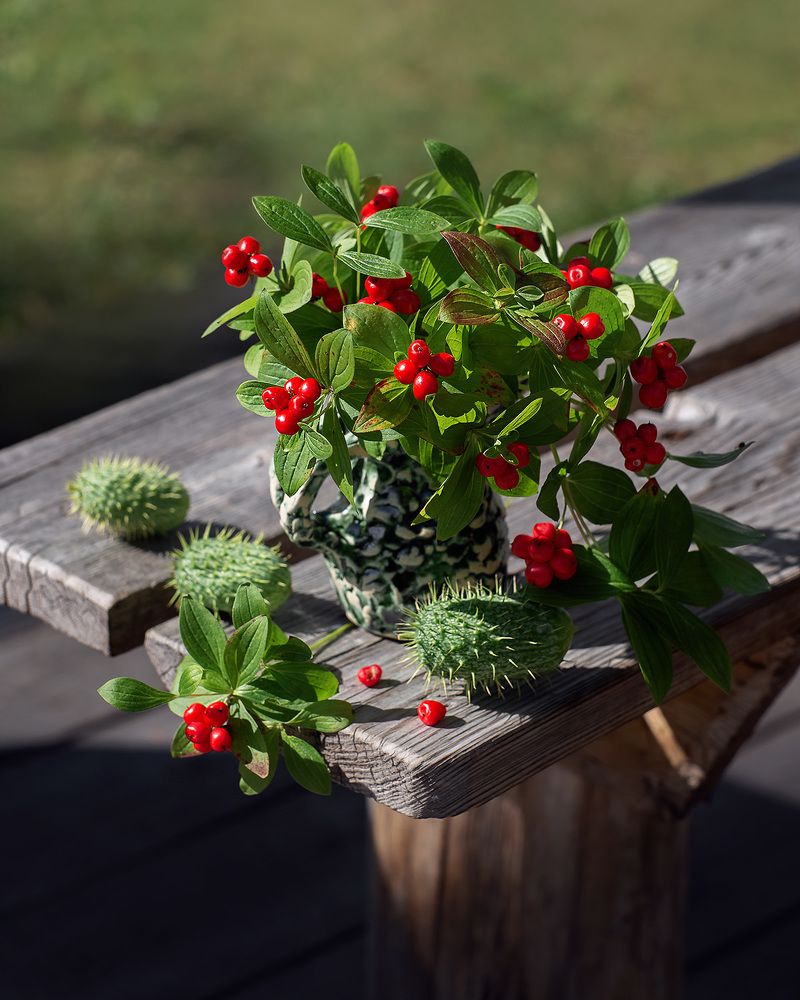 Photograph by Наталья Кабачек