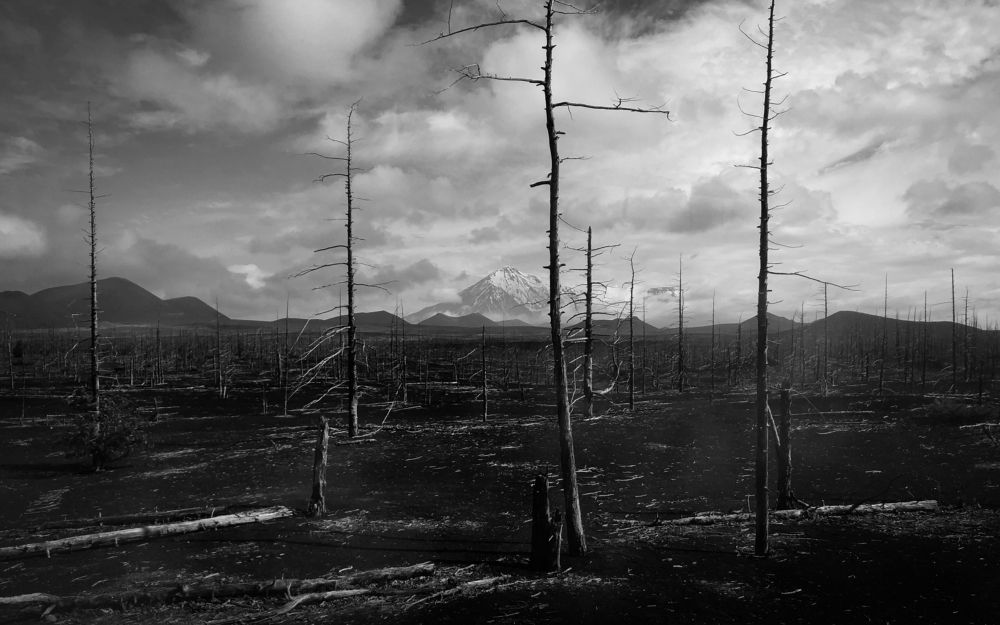 Photograph by Анастасия Бравичева