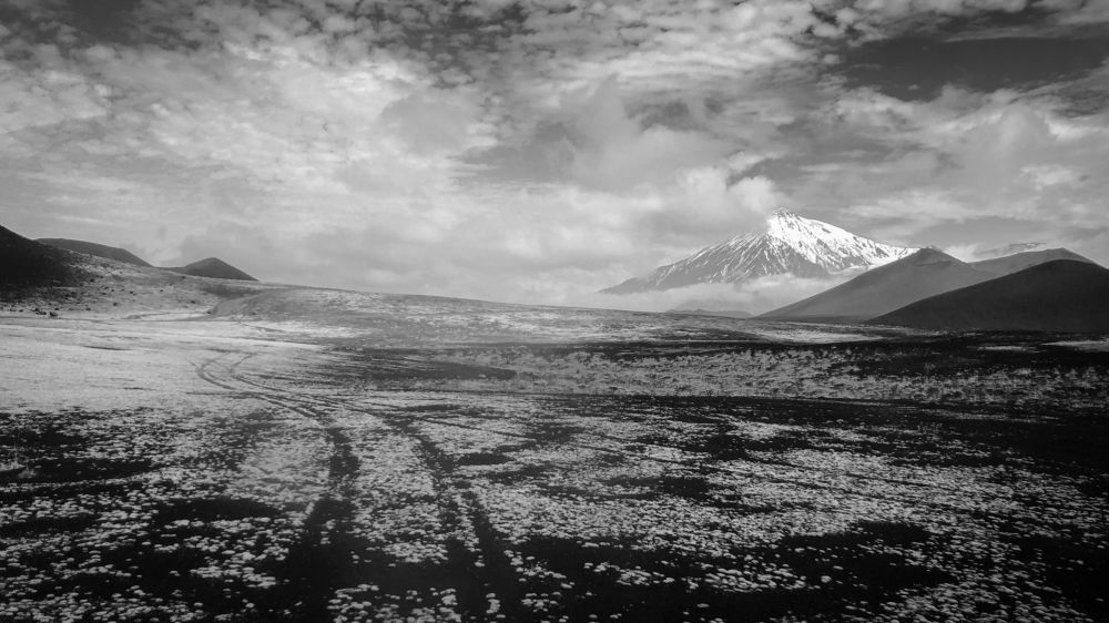 Photograph by Анастасия Бравичева