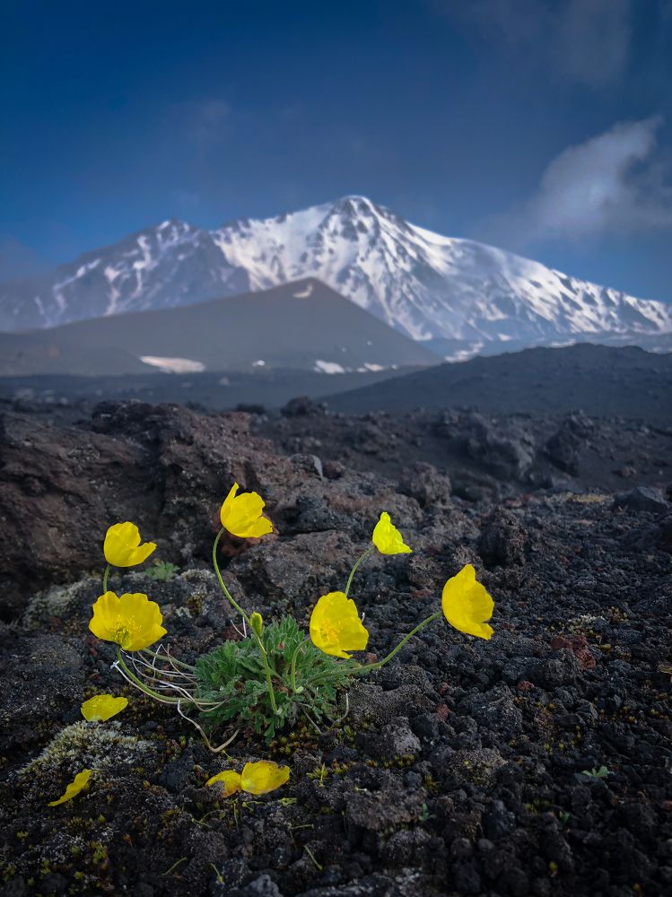 Photograph by Анастасия Бравичева
