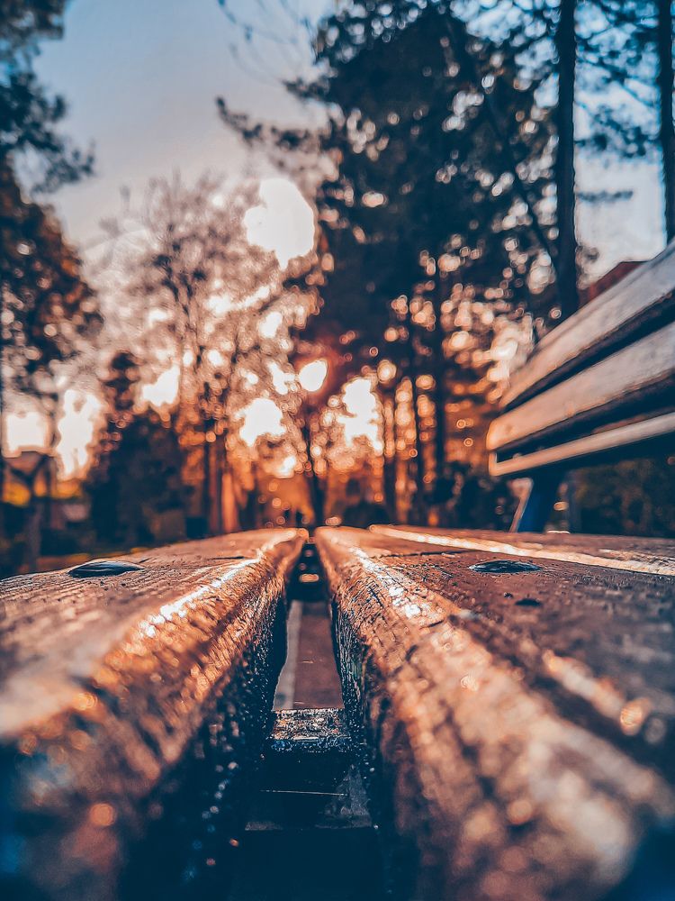 Photograph by صدرا