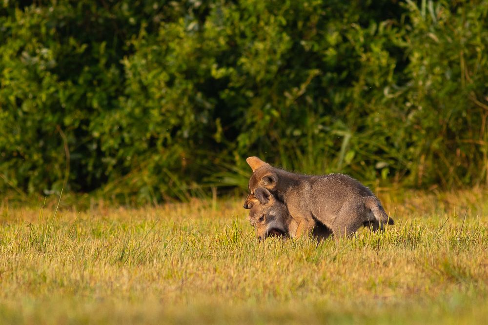 Photograph by Marcin Zakrzewski