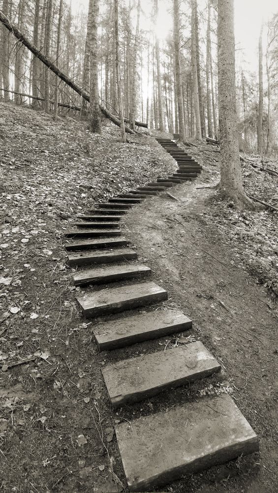 Photograph by Juris Buklovskis