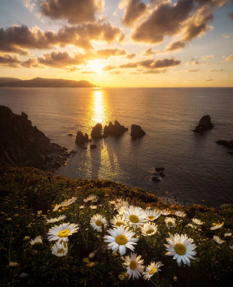 Photograph by Drew Korme