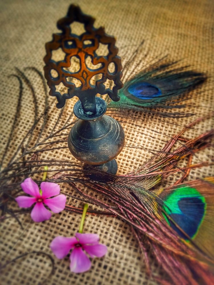 Photograph by Candy_photofactory