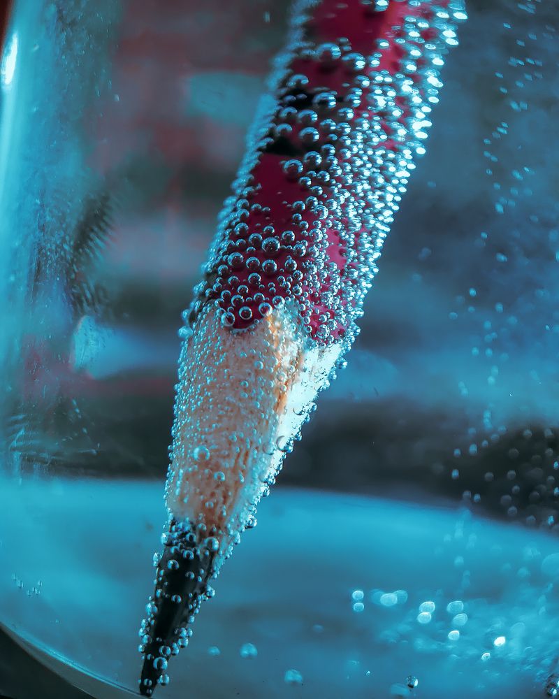 Photo #6376128