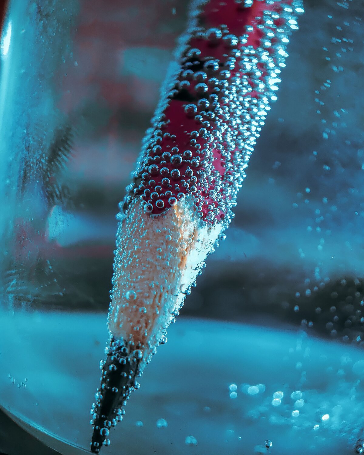 Photo #6376128
