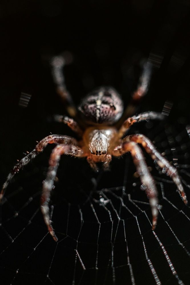 Photograph by Александра