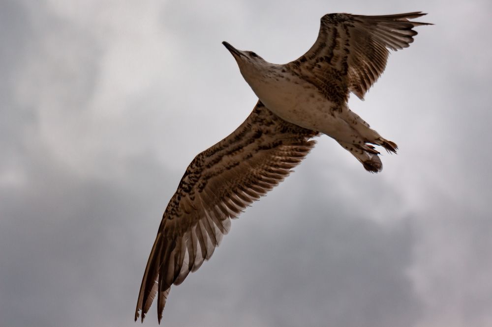 Photograph by Александра