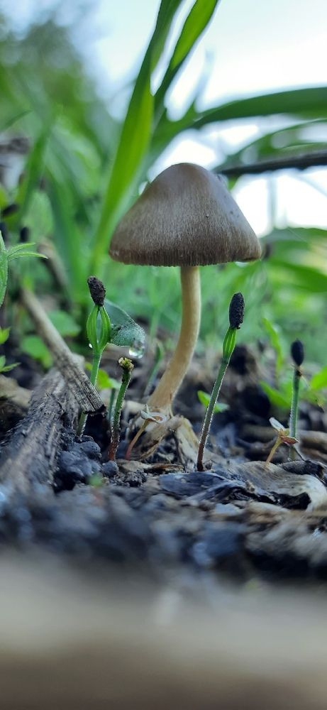 Photograph by Юлия Яшина