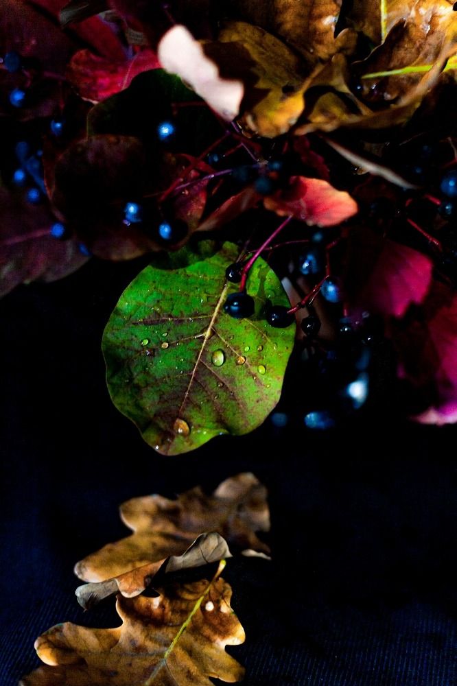 Photograph by Усатый Александр