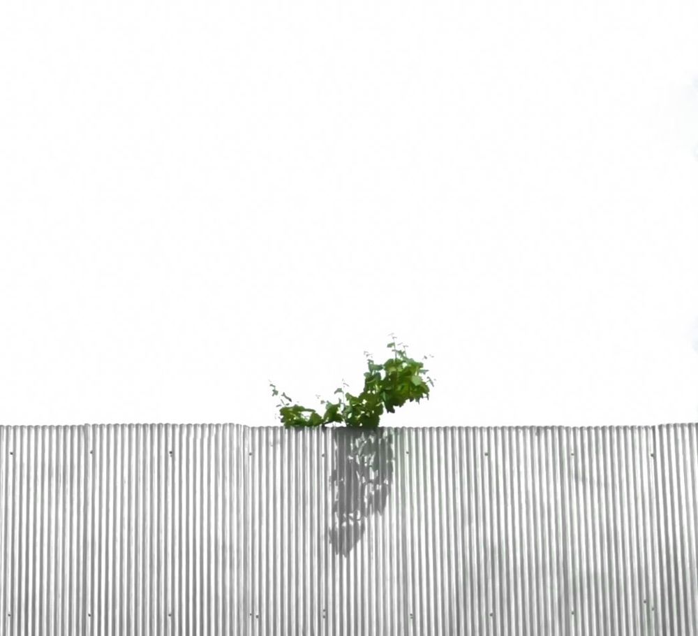 Photograph by Pouria marhamati