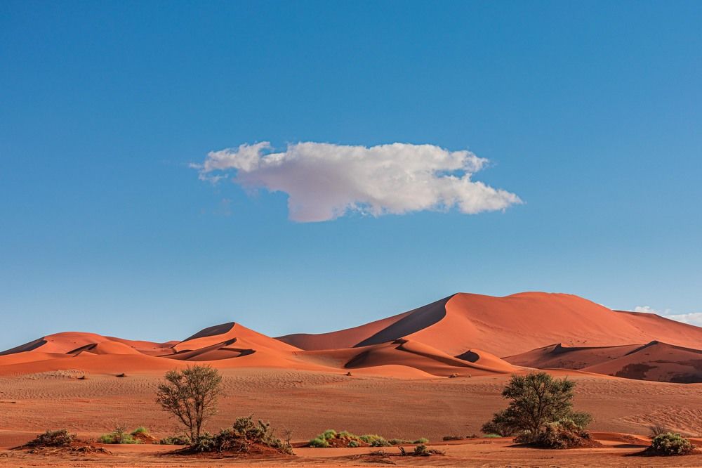 Полет над дюнами