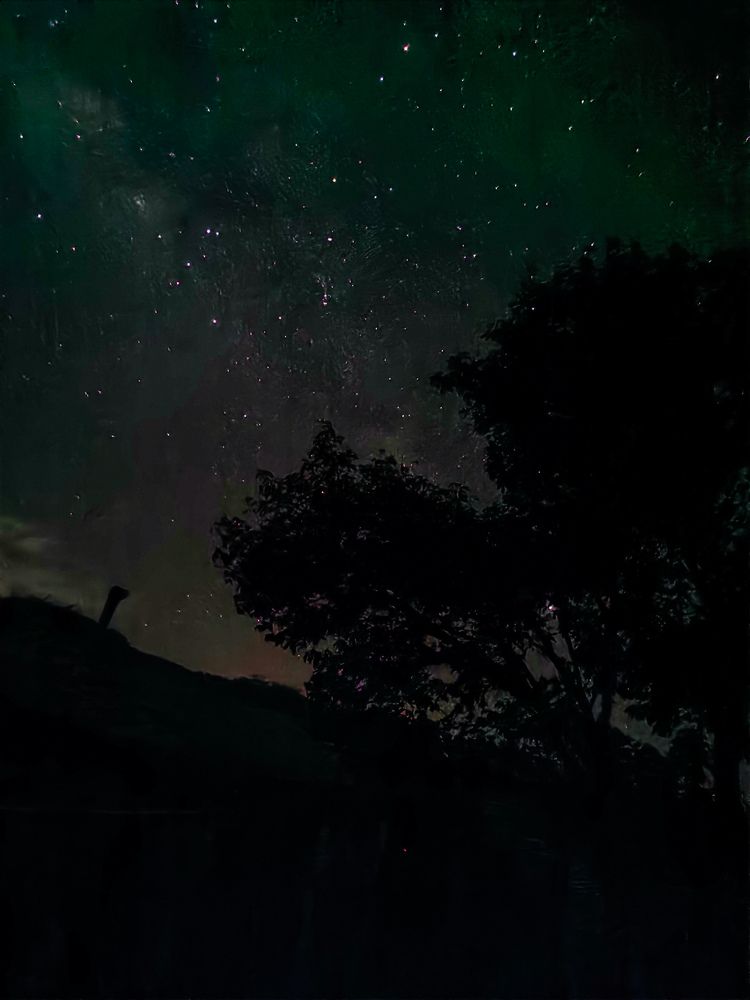 Photograph by Alex David Vásquez González