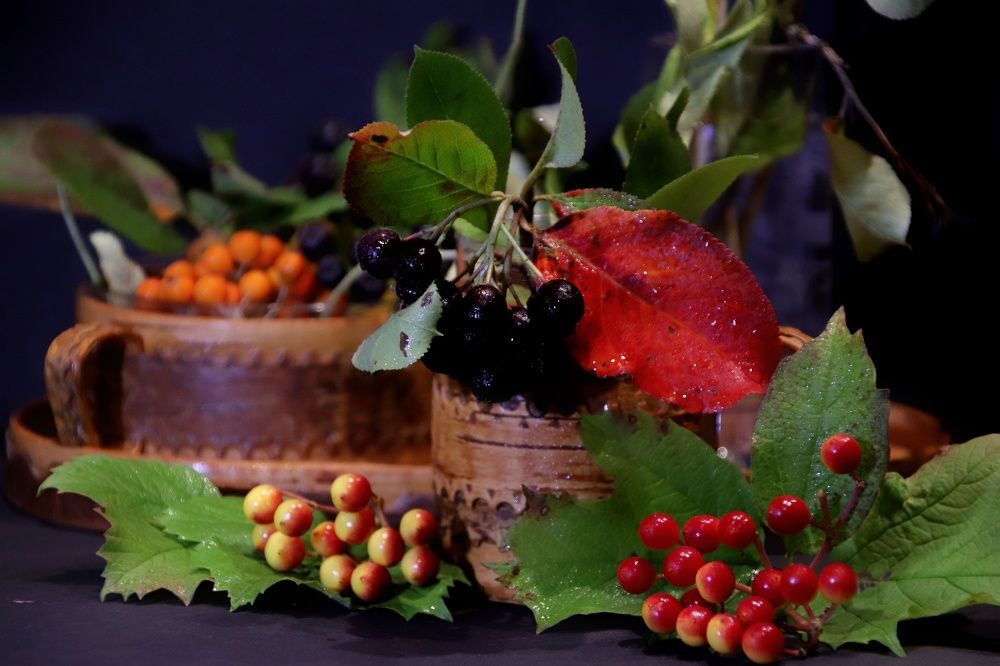 Photograph by Olga Asson