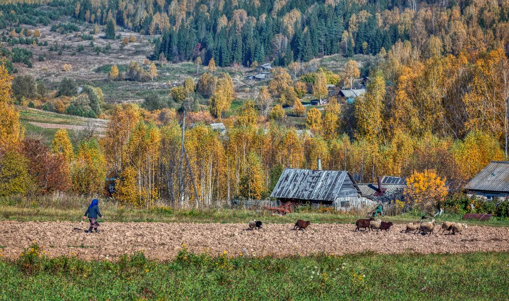 Эх догоню...