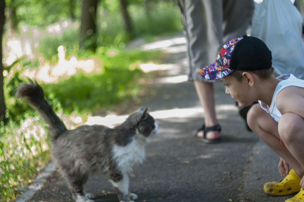 Photograph by Анастасия