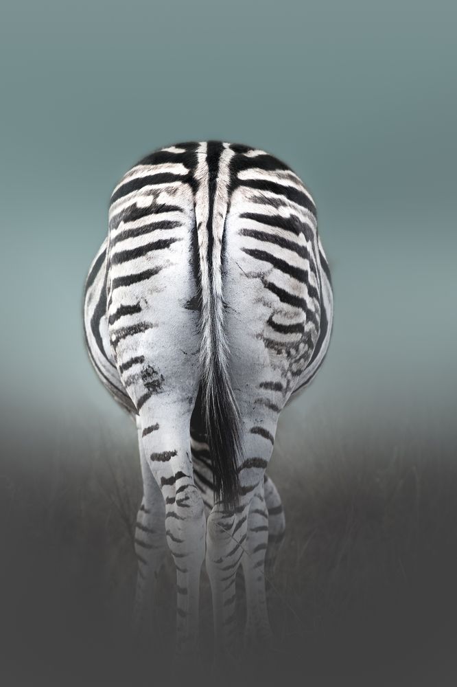 Photograph by Melanie Delamare