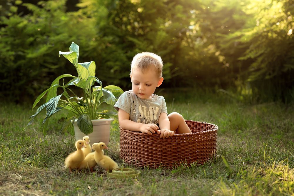 Photograph by Наталья Чухно