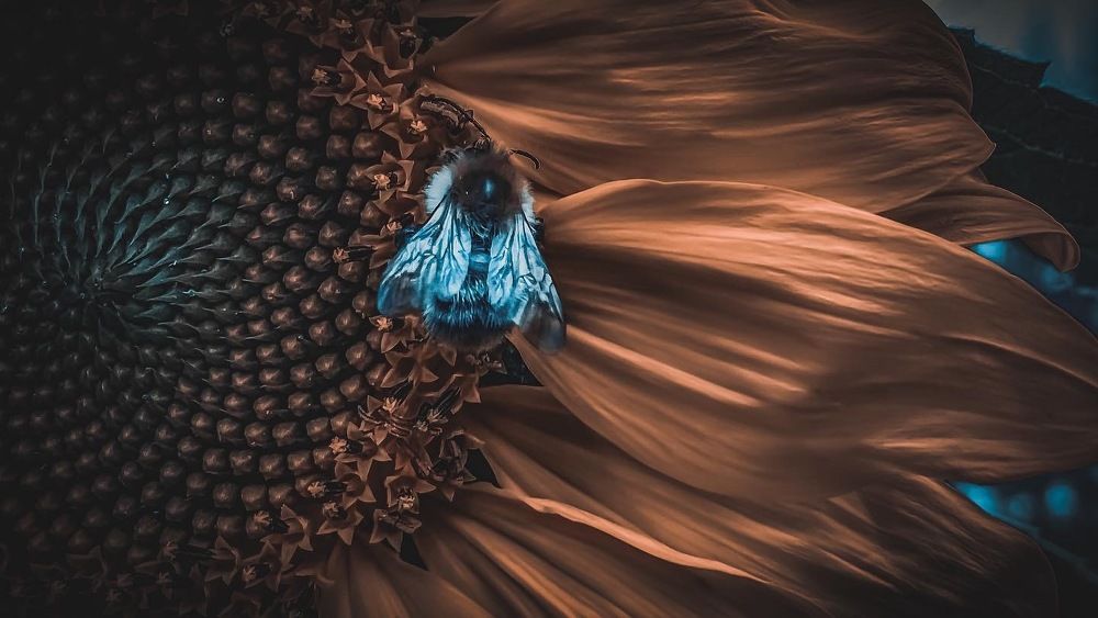 style of your fantasy