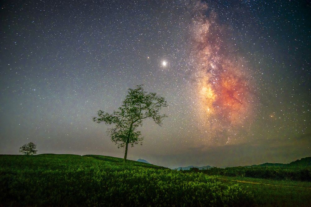 Photograph by Ngoc Vu Bao