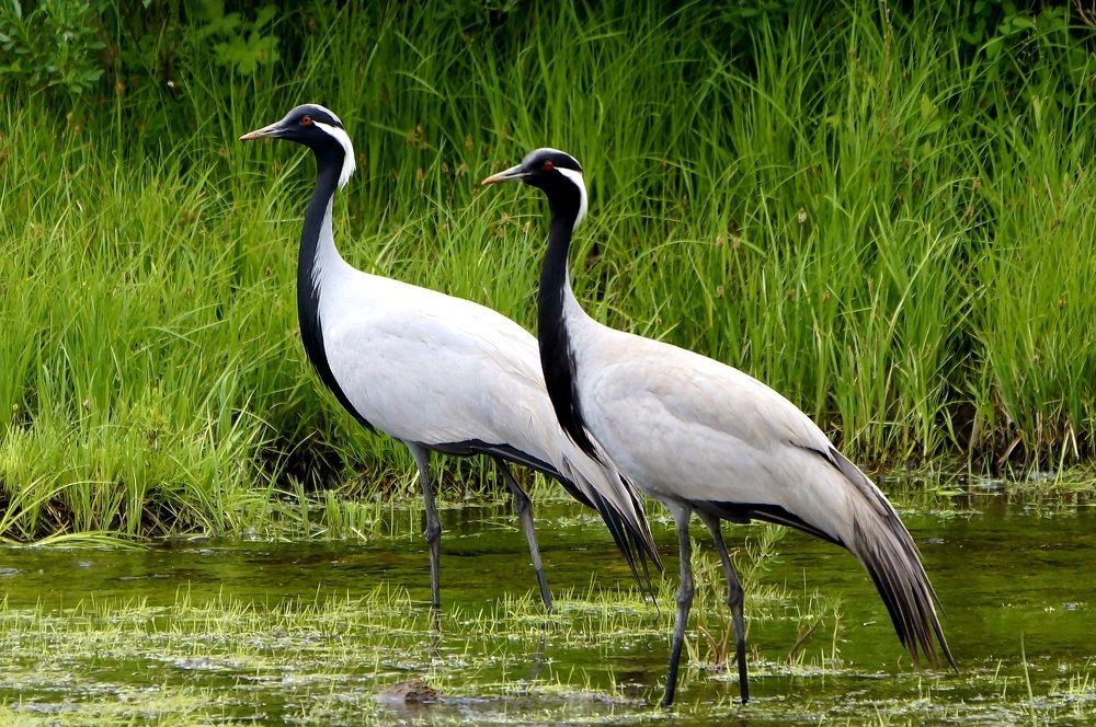 Photograph by Алексей Миронов