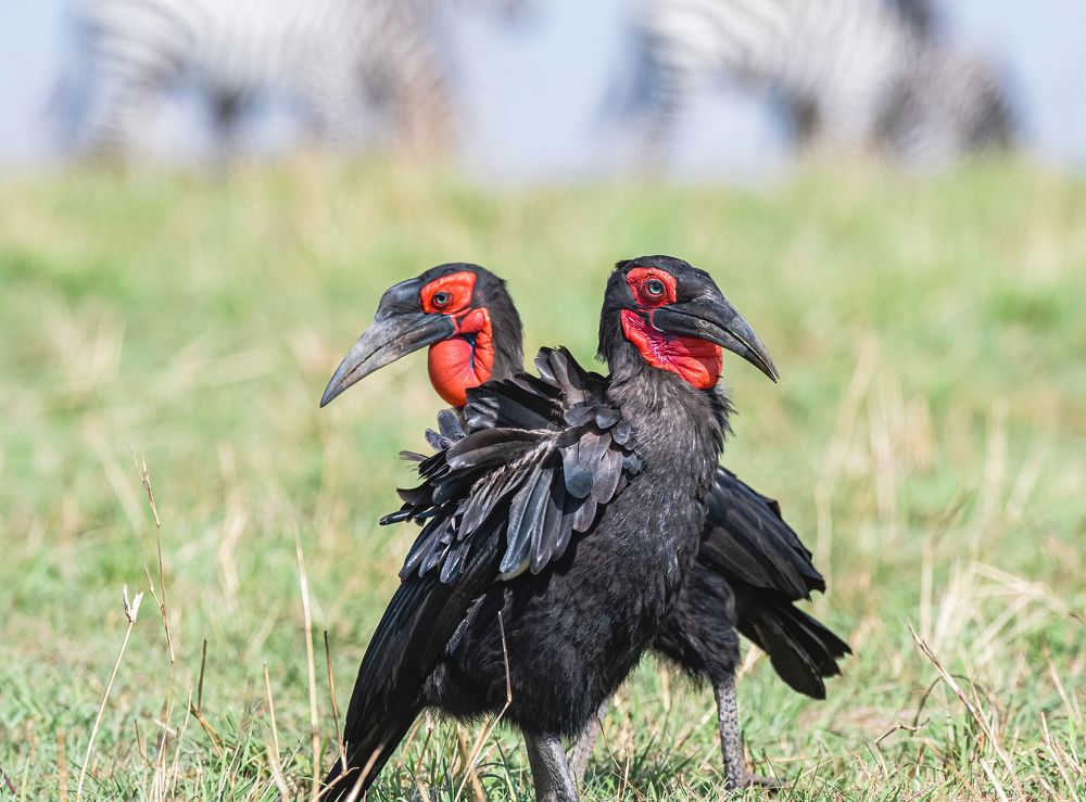 Фотография автора Sajeev Krishnan