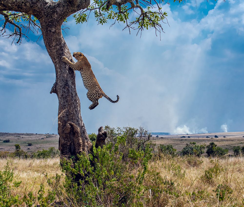 Фотография автора Sajeev Krishnan