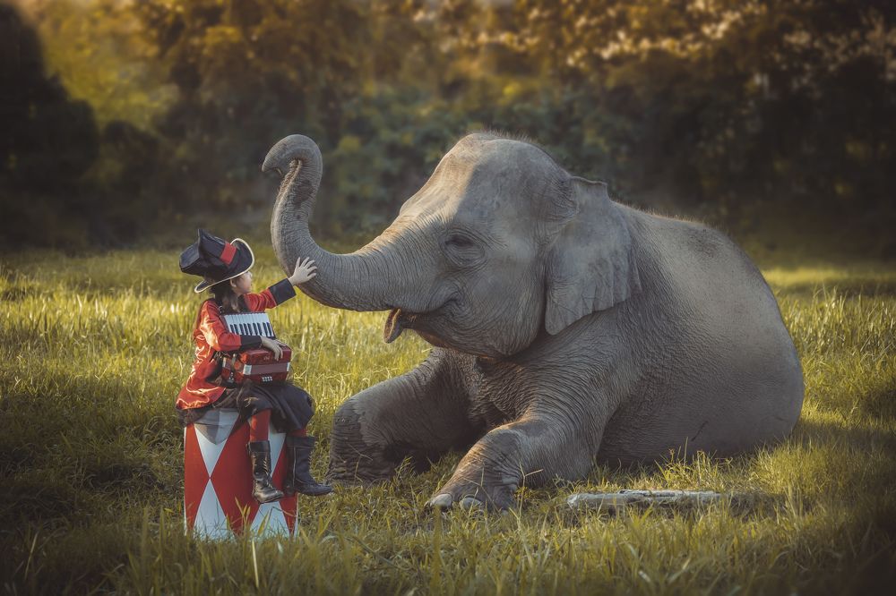 Фотография автора Anil Prabhakar