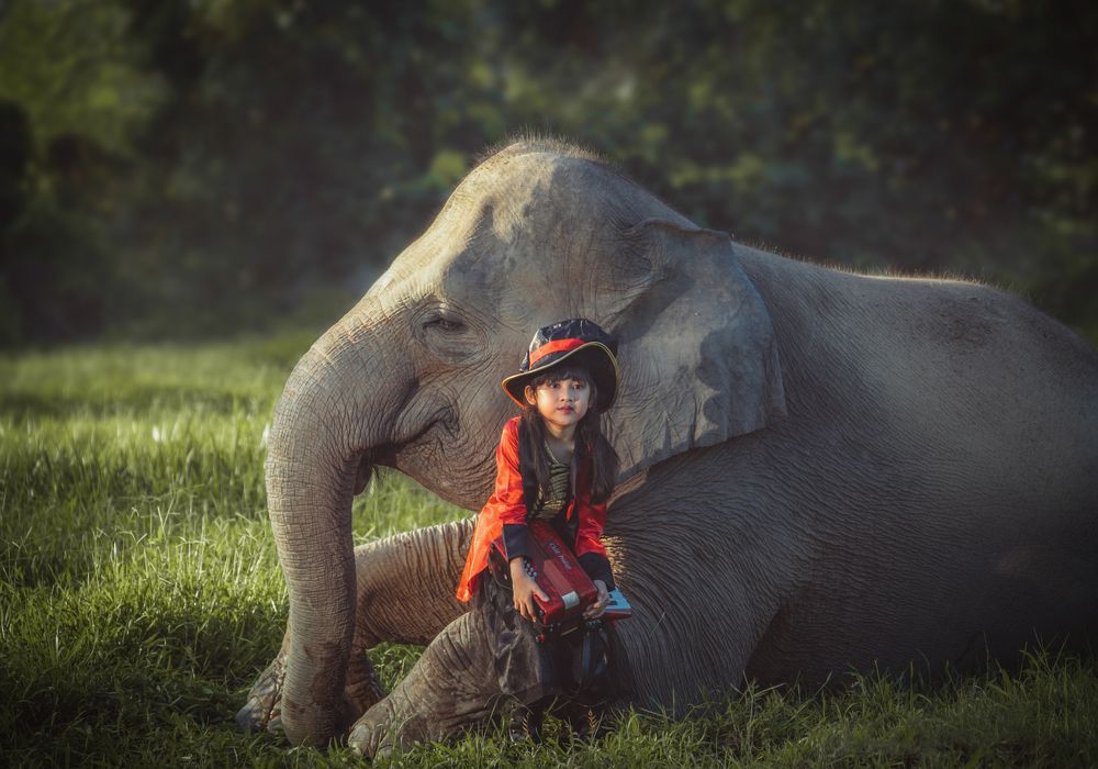 Фотография автора Anil Prabhakar