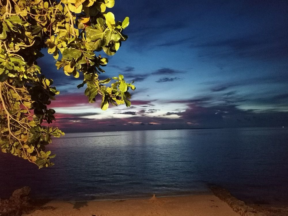 Photo #6376810