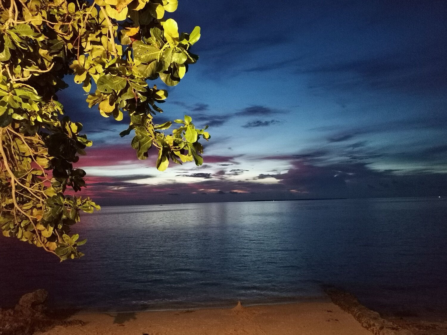 Photo #6376810