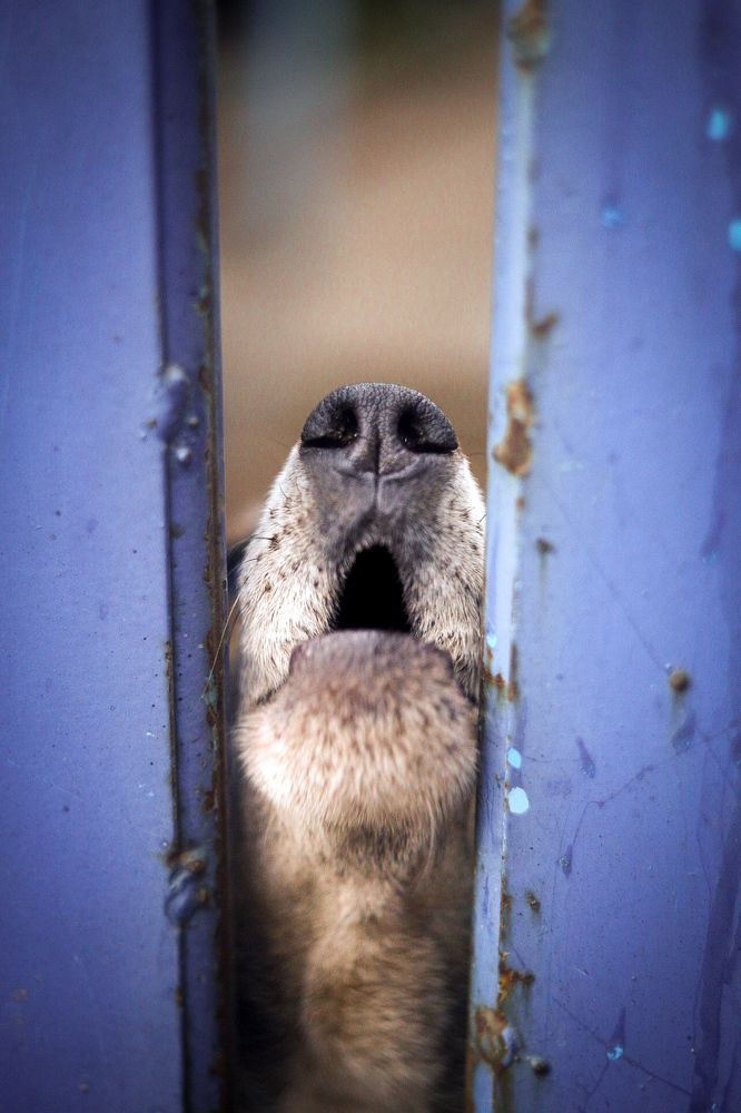 Фотография автора Ксения Лепина