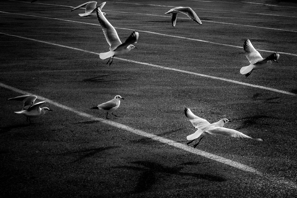 Photograph by Antonis Giakoumakis