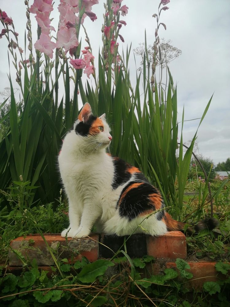Photograph by Elena Starodvorskaya