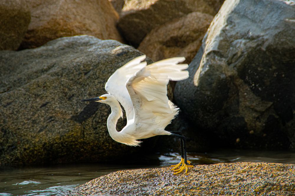Photograph by Juan Carlos Pascual López