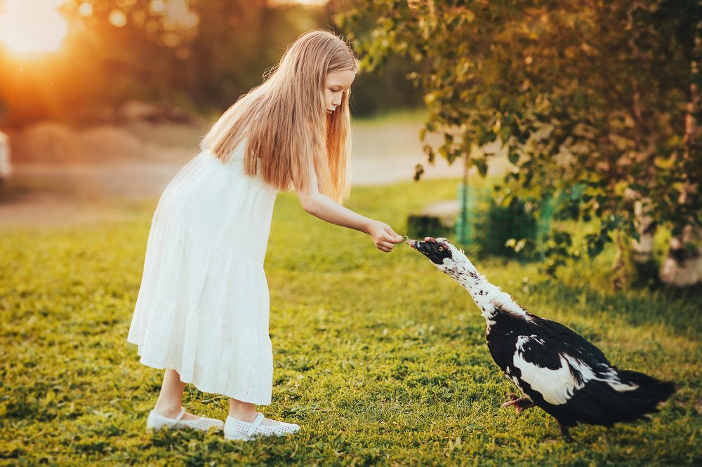 Photograph by Кристина Липатникова